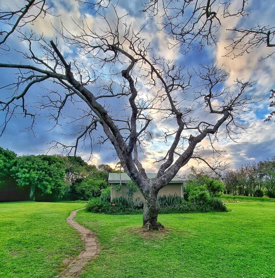 Oppieplaas Country Estate Villa Haga-Haga Kültér fotó